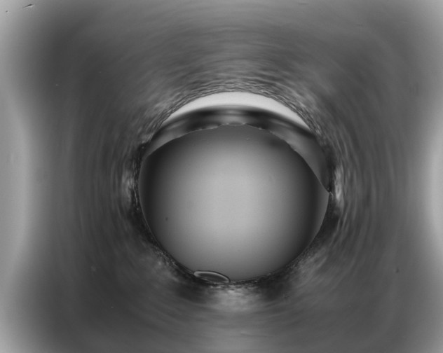 X0000087360235200704271443