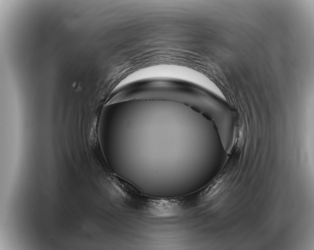 X0000087360239200704271443