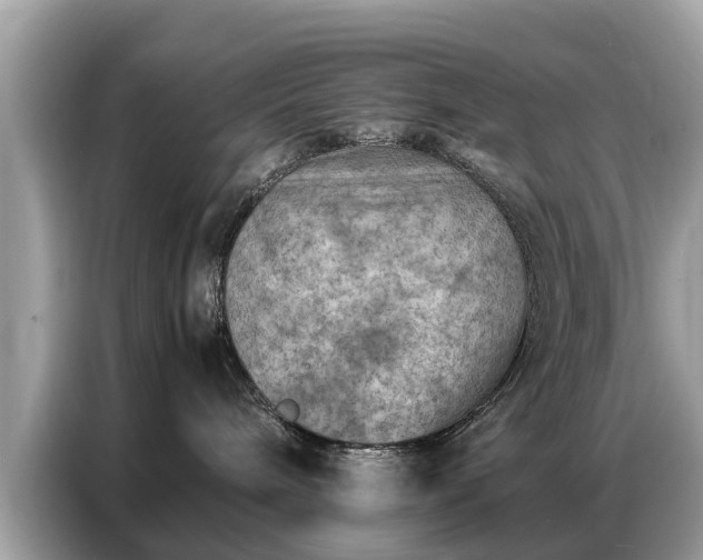 X0000087360240200704271443