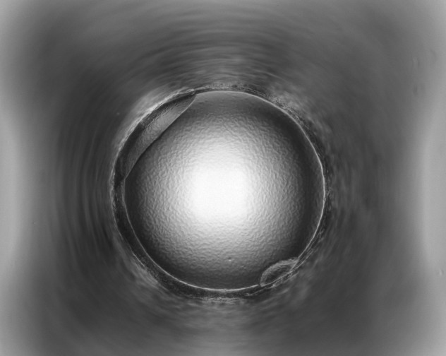 X0000087360242200704271442