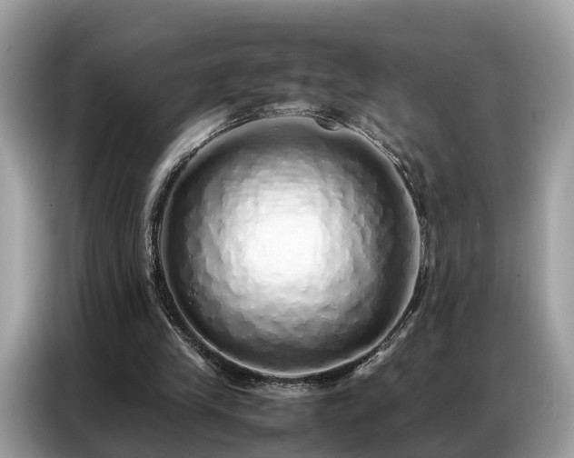 X0000087360245200704271442