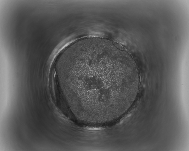 X0000087360247200704271442