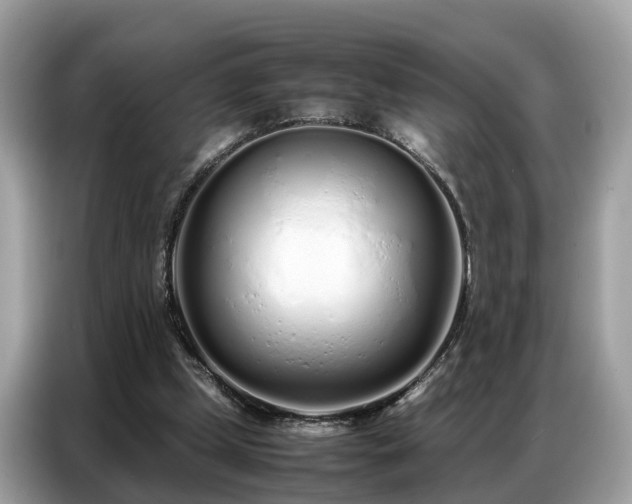 X0000087360249200704271442