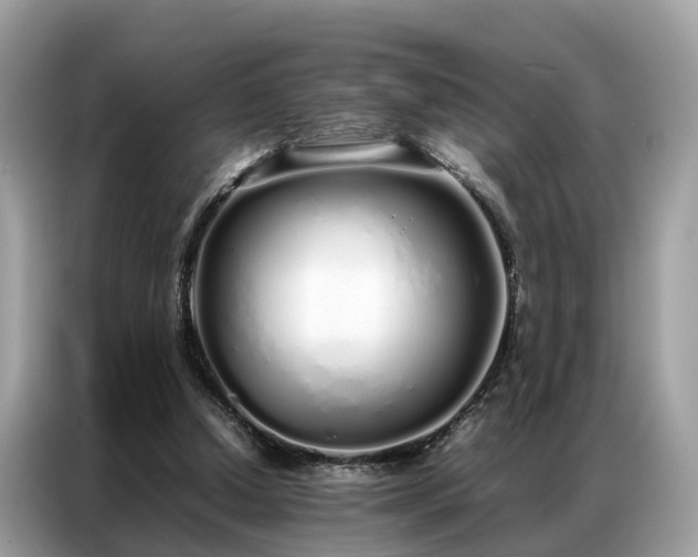 X0000087360250200704271442