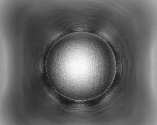 X0000087360255200704271442