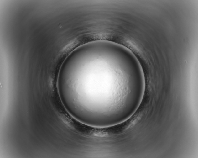 X0000087360258200704271442