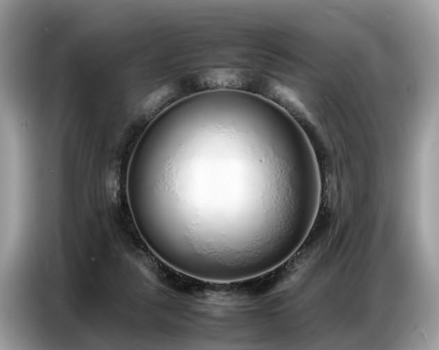 X0000087360259200704271442