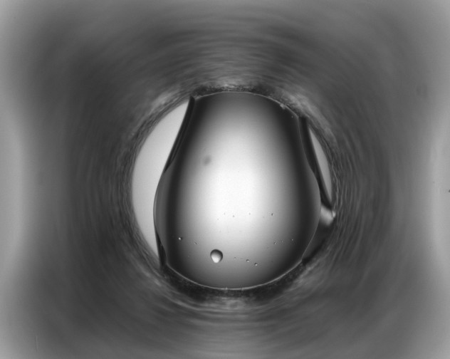 X0000087360260200704271442