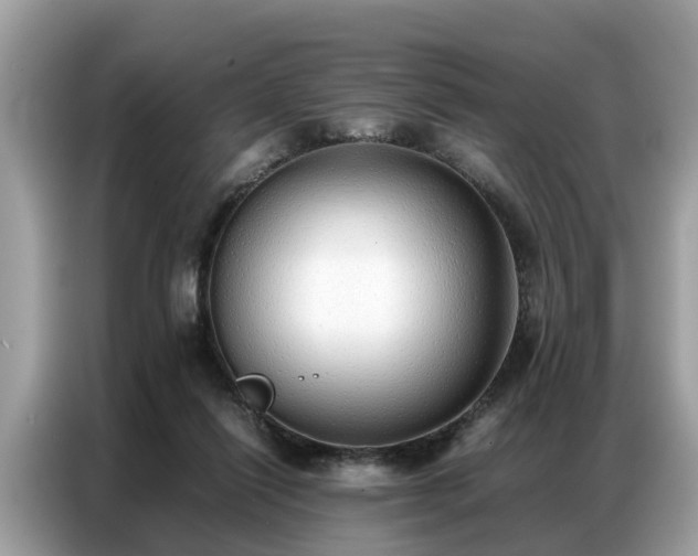 X0000087360262200704271442