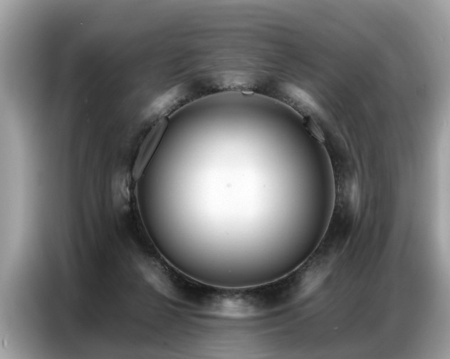 X0000087360264200704271442