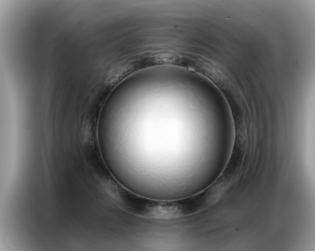 X0000087360270200704271442