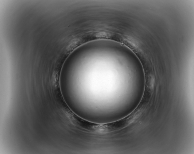 X0000087360273200704271442