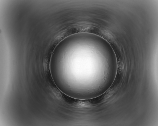 X0000087360283200704271442