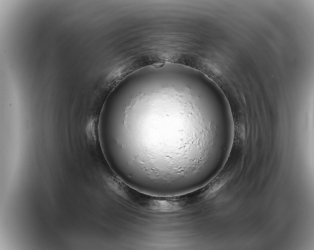 X0000087360286200704271443