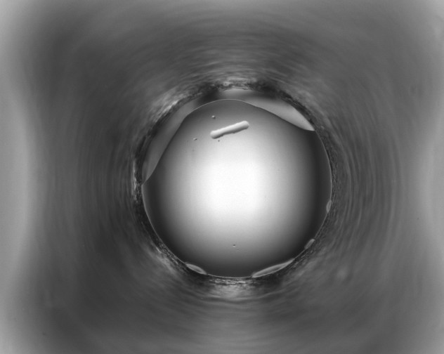 X0000087360288200704271443