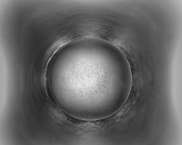 X0000087360290200704271442