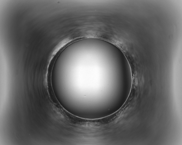 X0000087360292200704271442