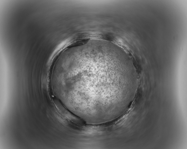 X0000087360293200704271442