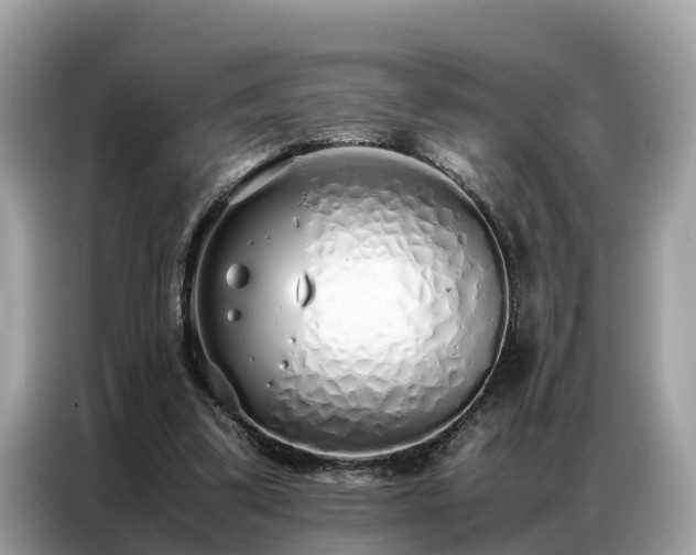 X0000087360299200704271442