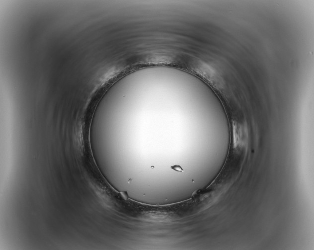 X0000087360300200704271442