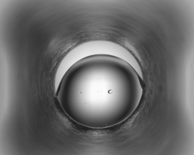 X0000087360305200704271442