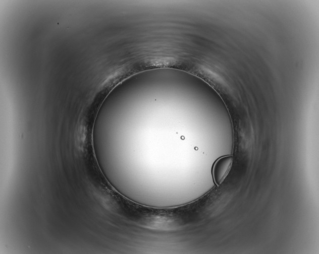 X0000087360308200704271442