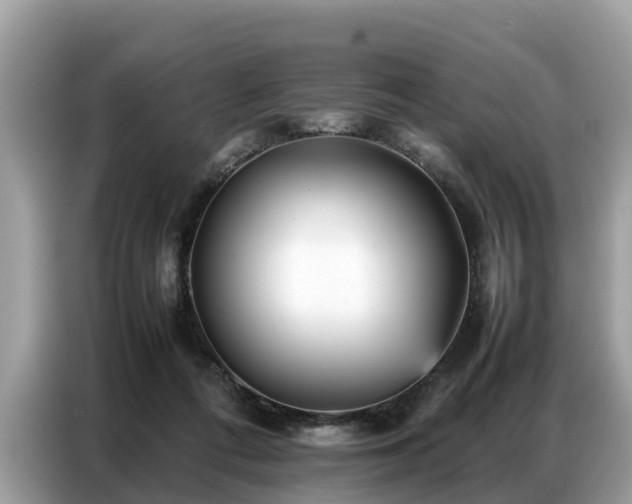 X0000087360312200704271442