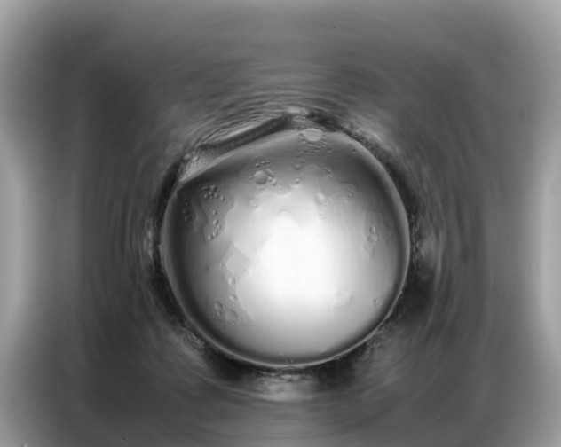 X0000087360315200704271442