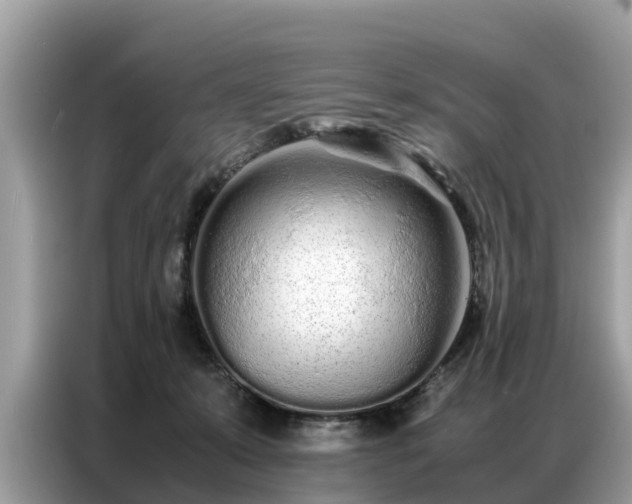 X0000087360319200704271442