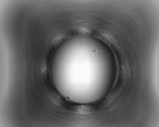 X0000087360320200704271442