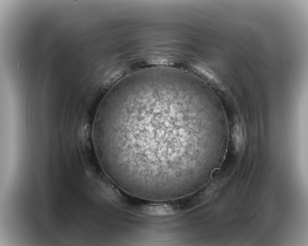 X0000087360322200704271442