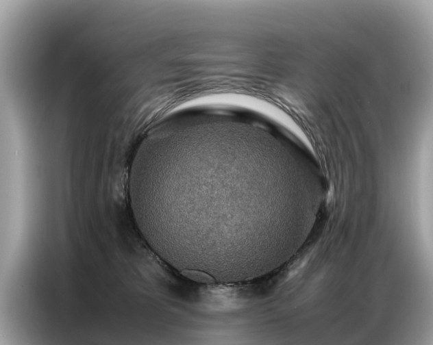 X0000087360325200704271442