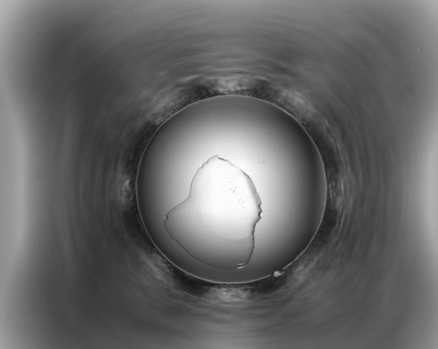 X0000087360327200704271442