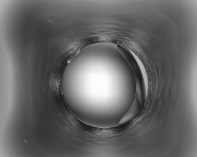 X0000087360329200704271442