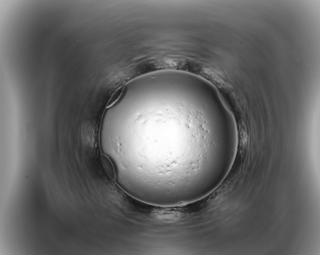 X0000087360331200704271441