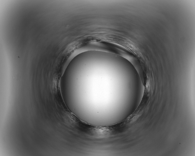 X0000087360333200704271441