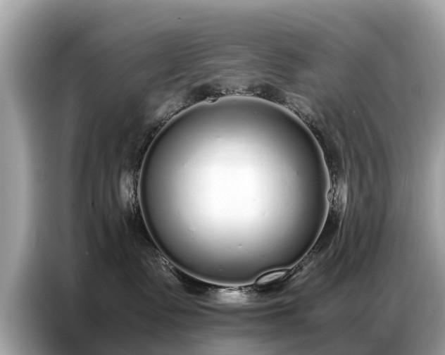 X0000087360335200704271441