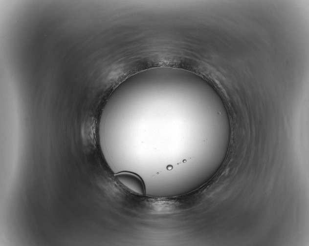 X0000087360336200704271441