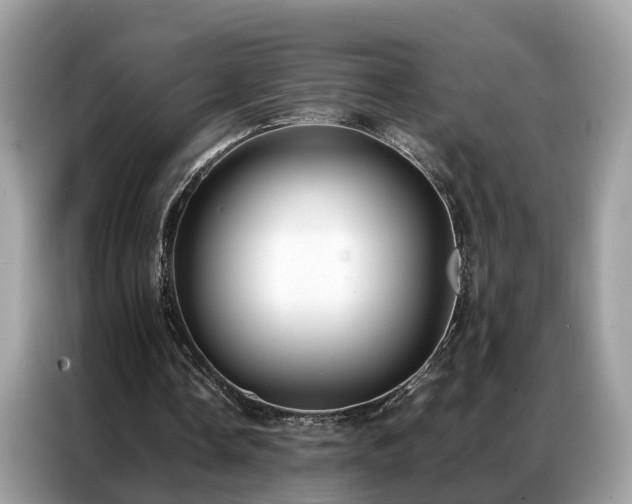 X0000087360338200704271441