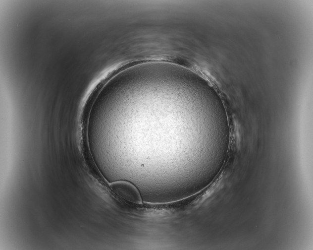 X0000087360342200704271441