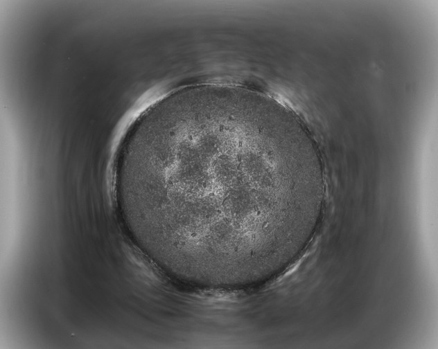 X0000087360343200704271441