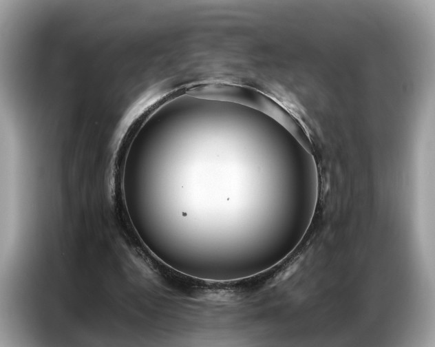 X0000087360344200704271441