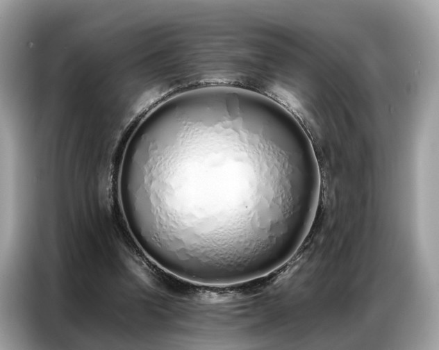 X0000087360346200704271441