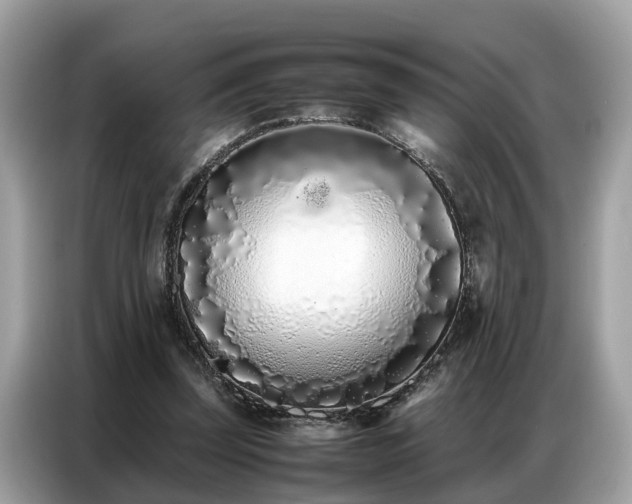 X0000087360347200704271441