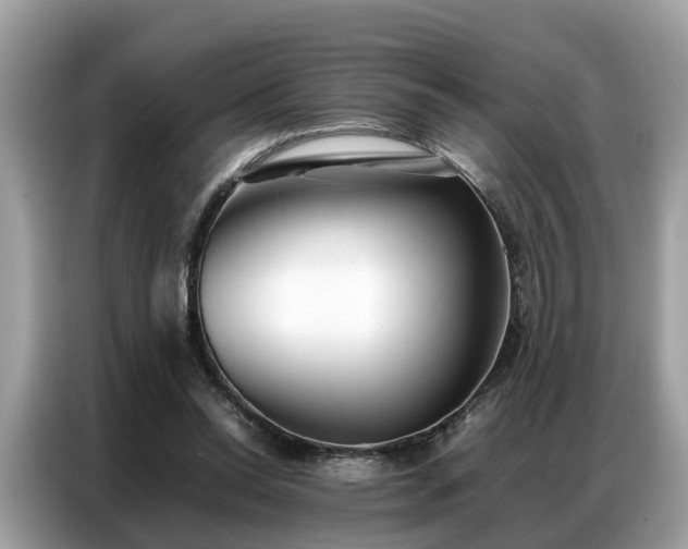 X0000087360350200704271441