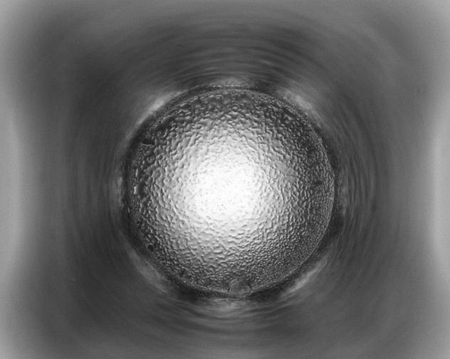 X0000087360351200704271441