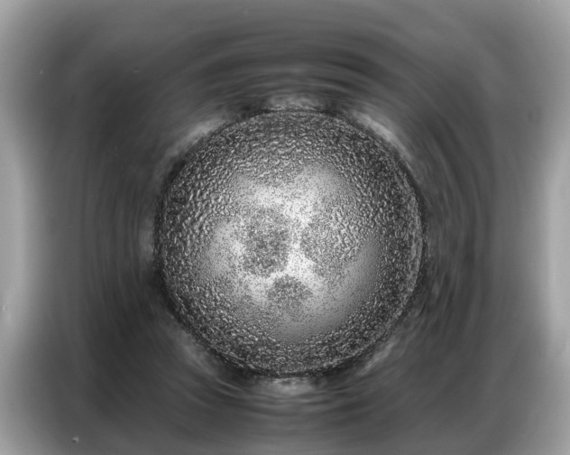 X0000087360353200704271441