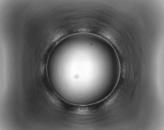 X0000087360355200704271441