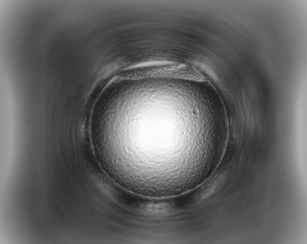 X0000087360357200704271441