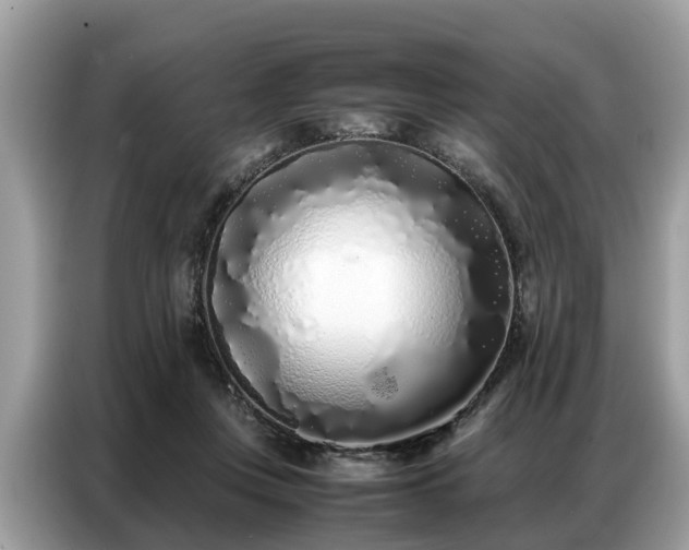 X0000087360359200704271441